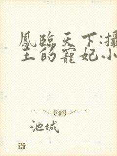 凤临天下:摄政王的宠妃小说