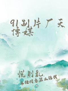 91制片厂天美传媒