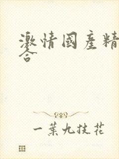 激情国产精品综合