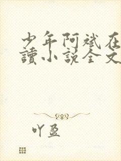 少年阿斌在线阅读小说全文免费