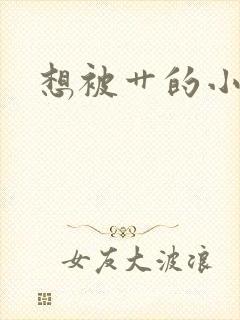 想被艹的小说
