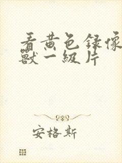 看黄色录像人与兽一级片