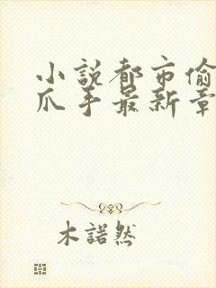 小说都市偷心龙爪手最新章节