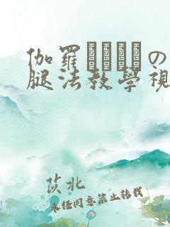 伽罗ちゃんへの腿法教学视频