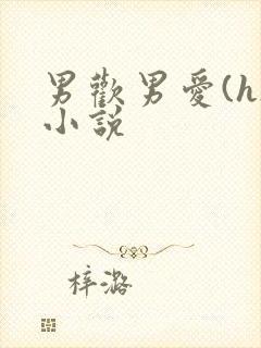 男欢男爱(h)小说