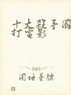 十大杀手国语武打电影