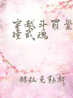 穿越斗罗觉醒重瞳武魂