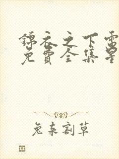 锦衣之下电视剧免费全集星辰影院