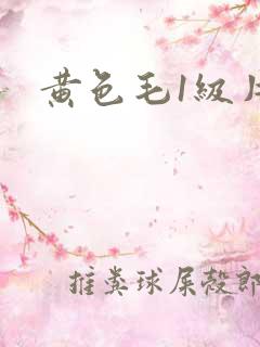 黄色毛1级片