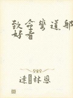 致命弯道那部最好看