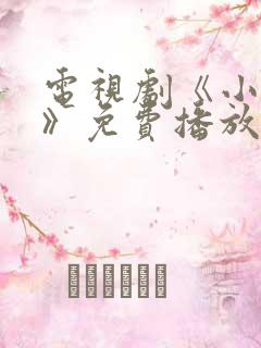 电视剧《小欢喜》免费播放