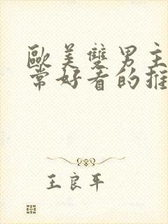 欧美双男主剧非常好看的推荐