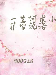 一生何求小说秦菲雪沈浩