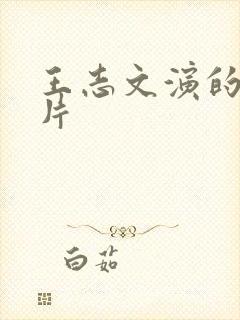 王志文演的谍战片