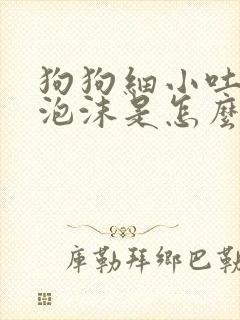 狗狗细小吐白色泡沫是怎么回事