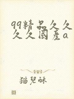 99精品久久久久久国产a