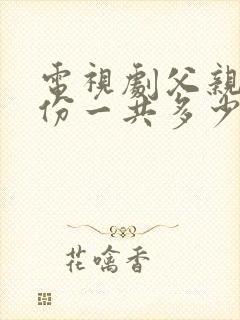 电视剧父亲的身份一共多少集