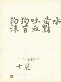 狗狗吐黄水带泡沫有血点