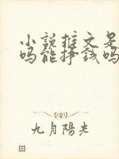 小说推文是真的吗能挣钱吗