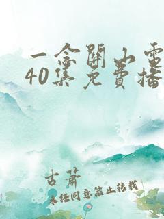 一念关山电视剧40集免费播放西瓜
