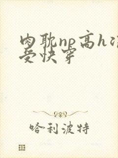 肉耽np高h浪受快穿
