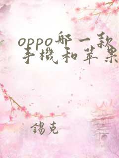 oppo哪一款手机和苹果相似