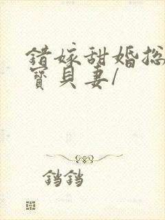 错嫁甜婚总裁的宝贝妻/