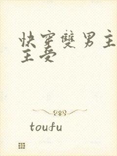 快穿双男主双强主受