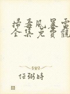 扫毒风暴电视剧全集免费观看完整版