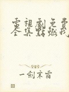 电视剧免费观看全集点燃我温暖你