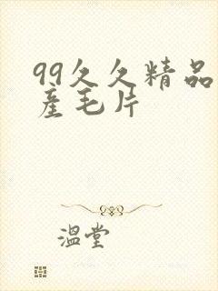 99久久精品国产毛片