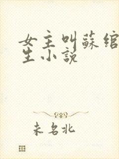 女主叫苏绾的重生小说