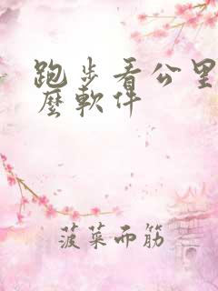 跑步看公里数什么软件