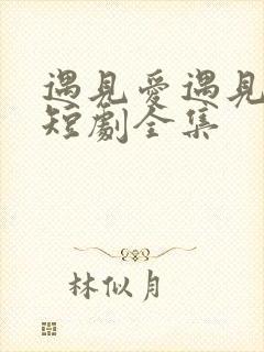 遇见爱遇见幸福短剧全集