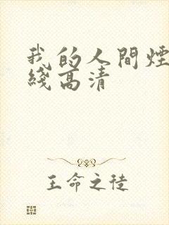 我的人间烟火在线高清