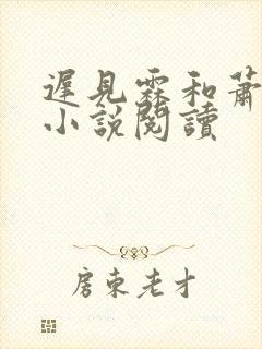 迟见霖和萧怜儿小说阅读