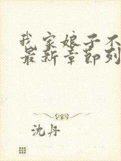 我家娘子不对劲最新章节列表最