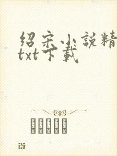 绍宋小说精校版txt下载