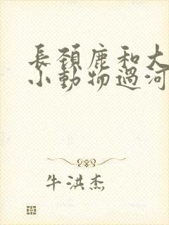 长颈鹿和大象背小动物过河的看图写话