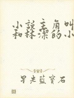 小说主角叫秦齐和林洁的小说