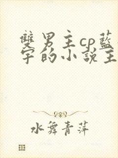 双男主cp蓝轩宇的小说主受文推荐