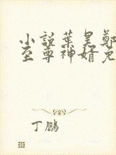 小说叶昊郑漫儿至尊神婿免费阅读