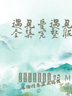 遇见爱遇见幸福全集完整版