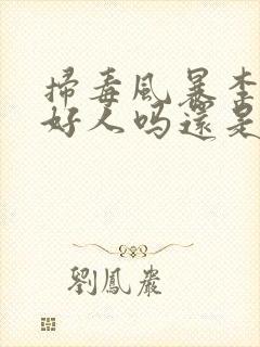 扫毒风暴李晨是好人吗还是坏人