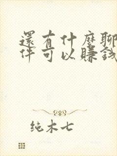 还有什么聊天软件可以赚钱提现