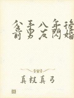 分手八年后我和前男友闪婚了100完整版