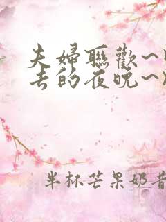 夫妇联欢~回不去的夜晚~》