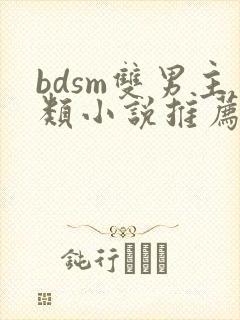 bdsm双男主类小说推荐