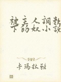 被主人调教成脚下的奴小说全文阅读