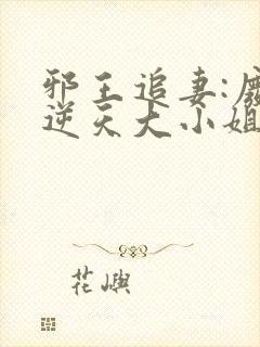 邪王追妻:废材逆天大小姐